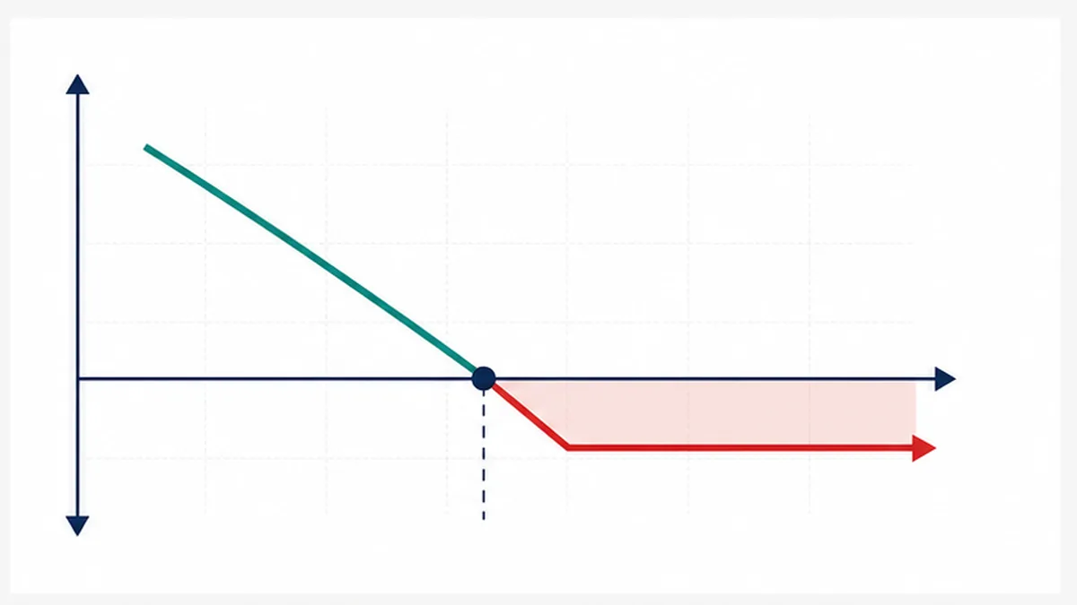 Simple put option payoff line showing downside participation and limited premium loss